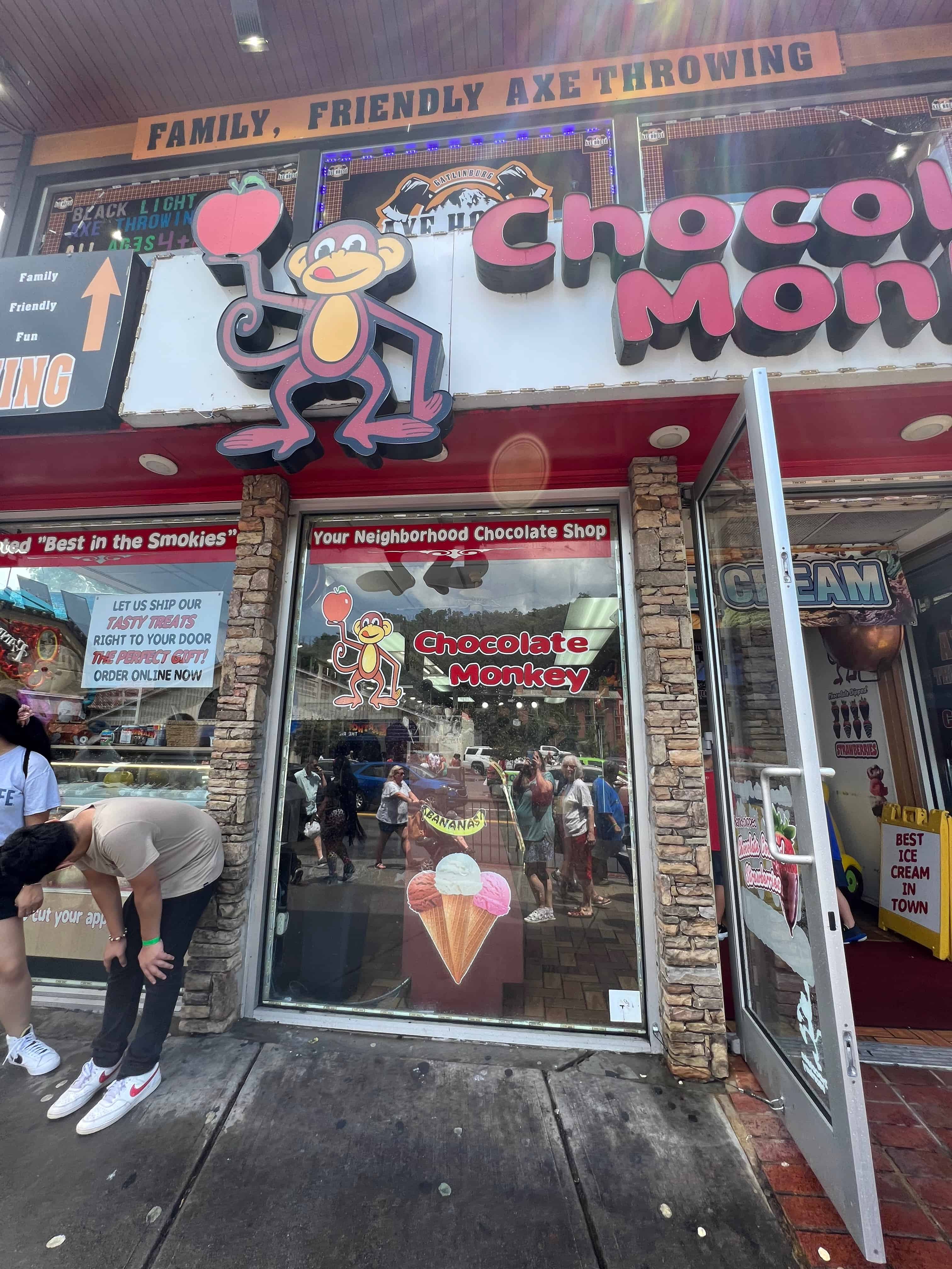 Chololate Monkey