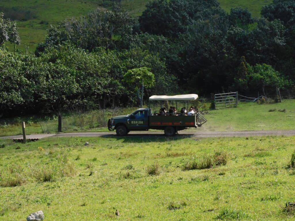 Tours at Kualoa Ranch