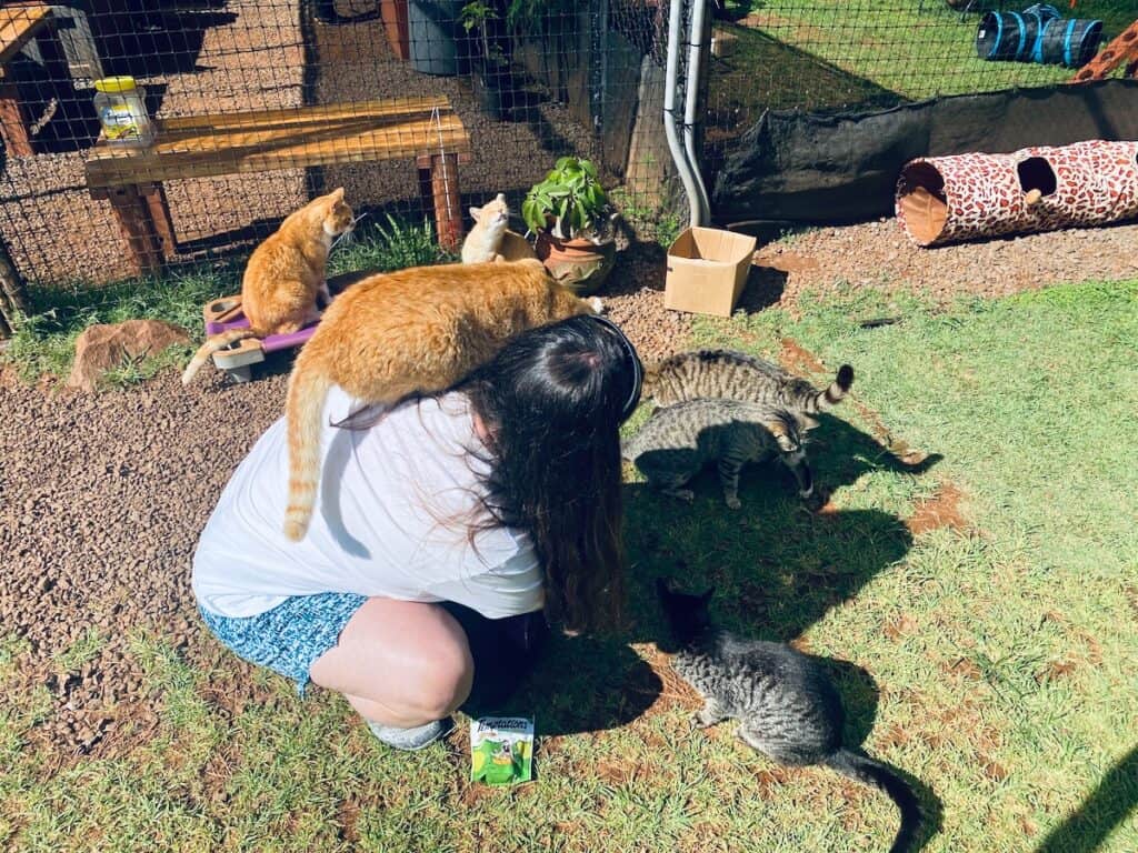 Cat Sanctuary - woman with cats all around her