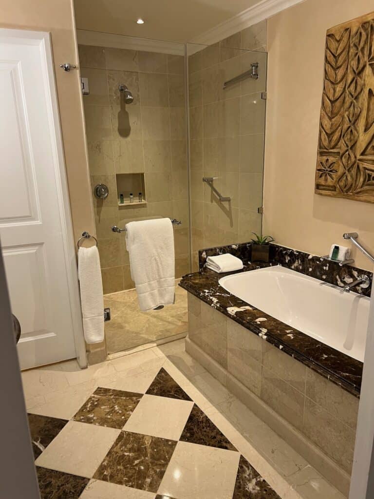 Shower and Tub at the InterContinental Johannsburg