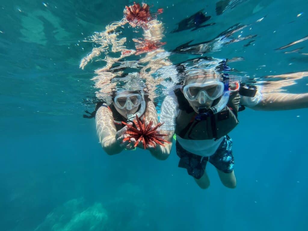 2 Snorkelers holding a pencil sea urchin at Turtle Town Maui