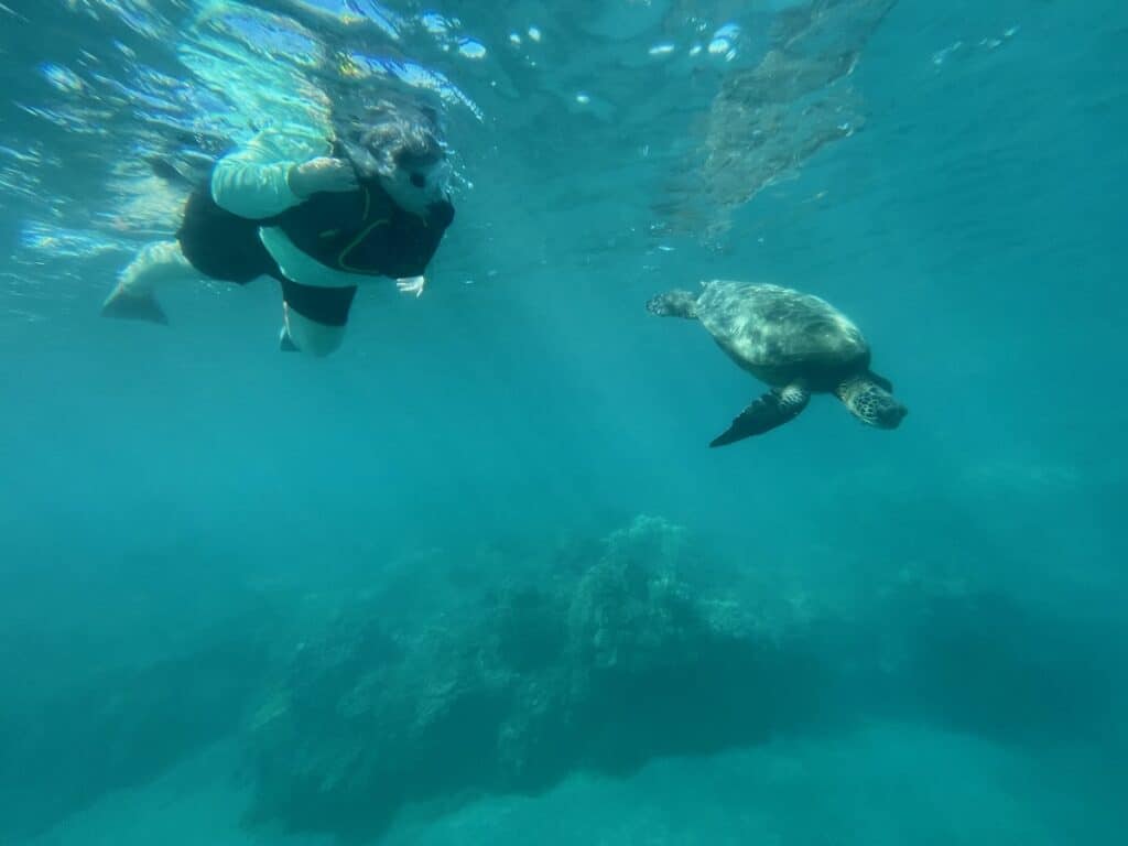 Snorkler swimming with a sea turtle at turtle town Maui