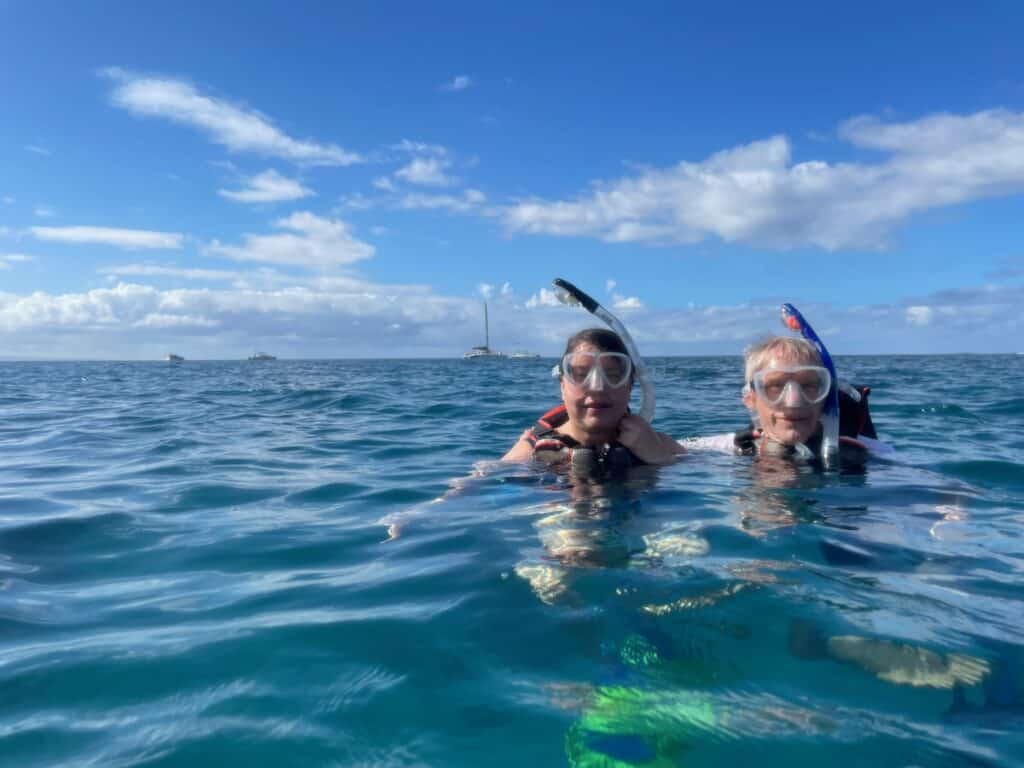 Turtle Town Maui Tour Review