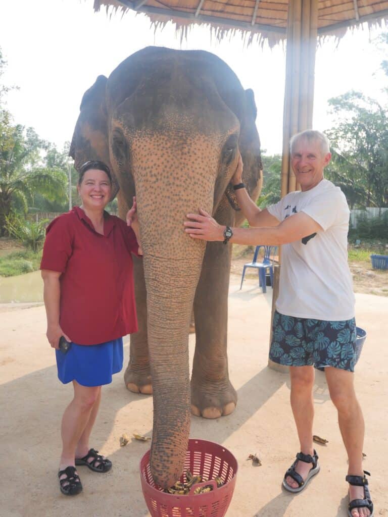 Plenty of opportunities to get photos with the elephants
