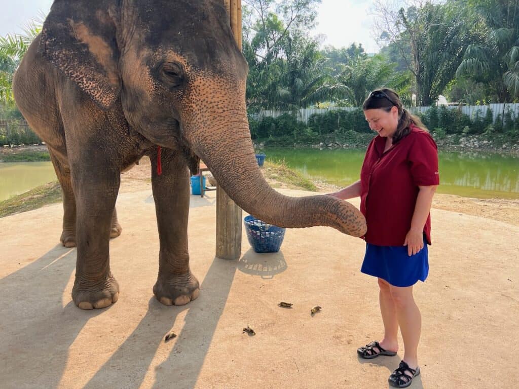 Lady feeding an elephant at the Elephant Jungle Sanctuary