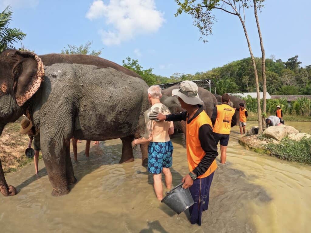 Mud Bath with elephants