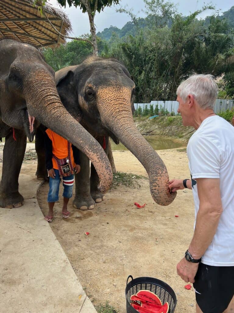 Man feeding the elephants at the sanctuary in Phuket