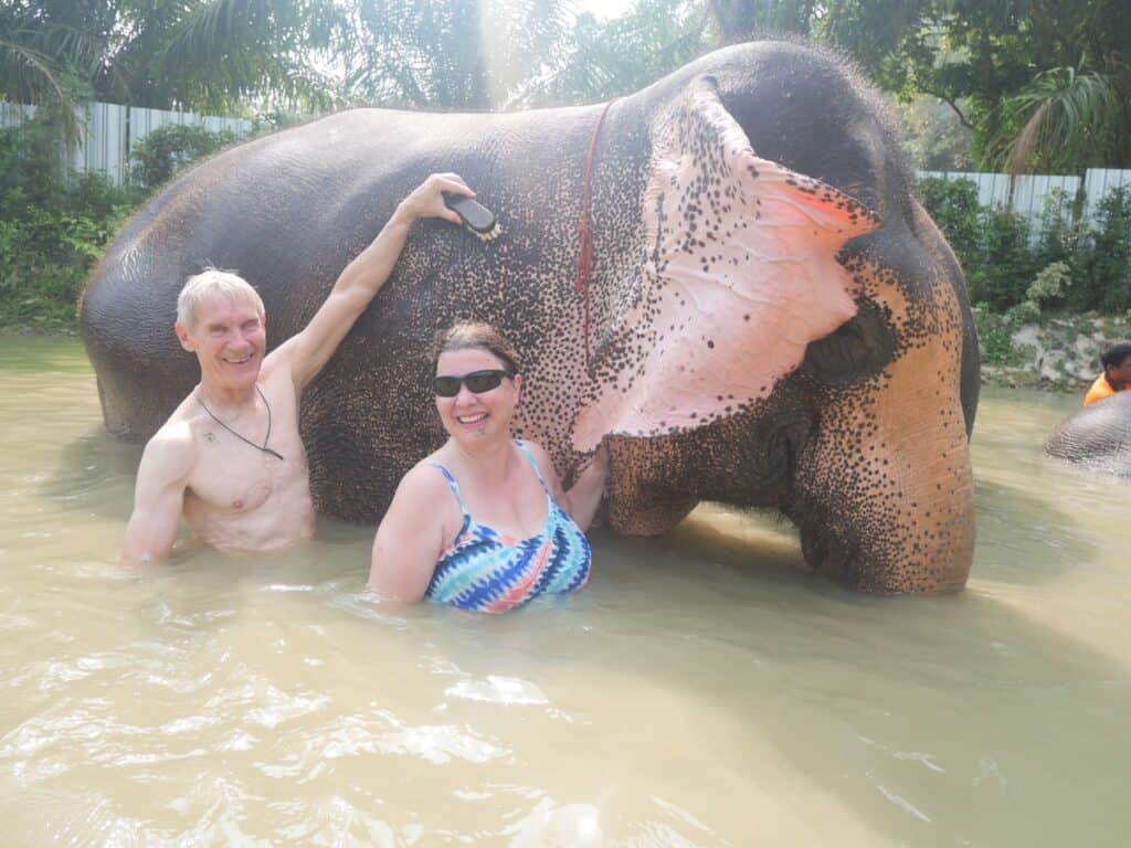 Swimming with the Elephants