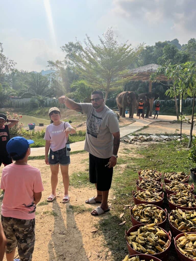 Instructions on feeding the elephants