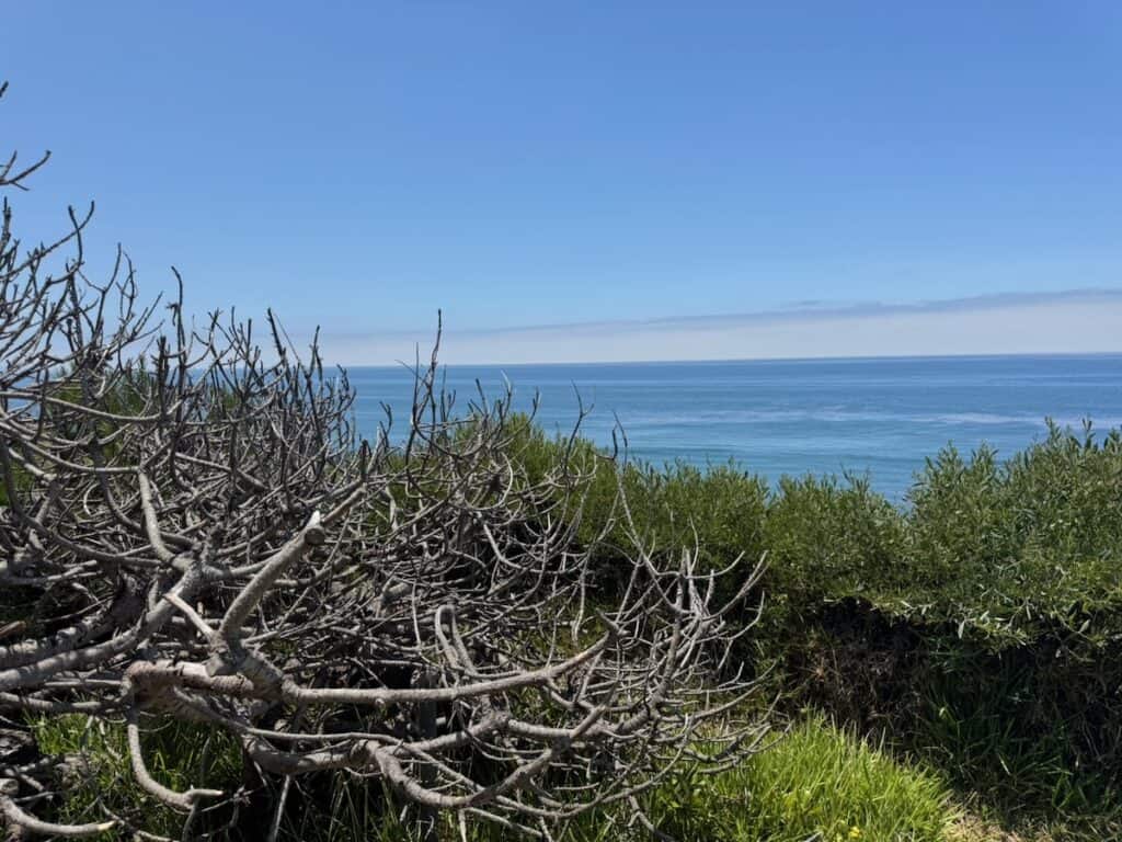 Overlooking the Pacifict Ocean at the Self Realization Meditation Gardens