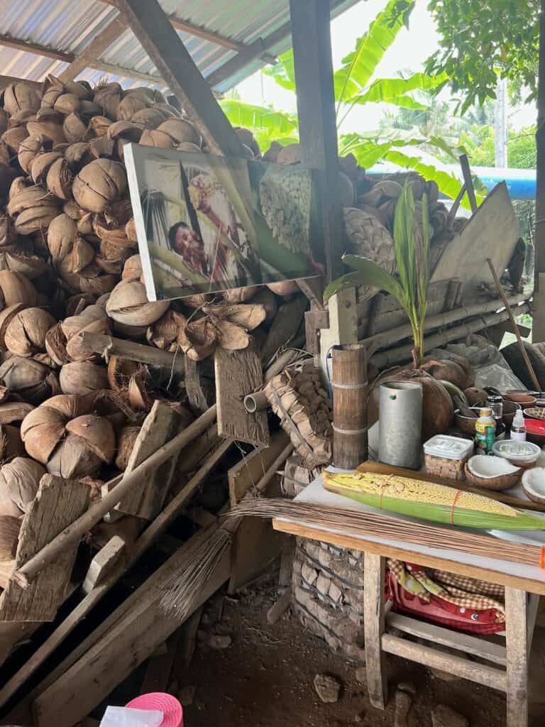 Coconut Farm