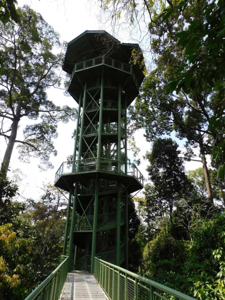 Tower on the Canopy walk at the Rainforest Discovery Center