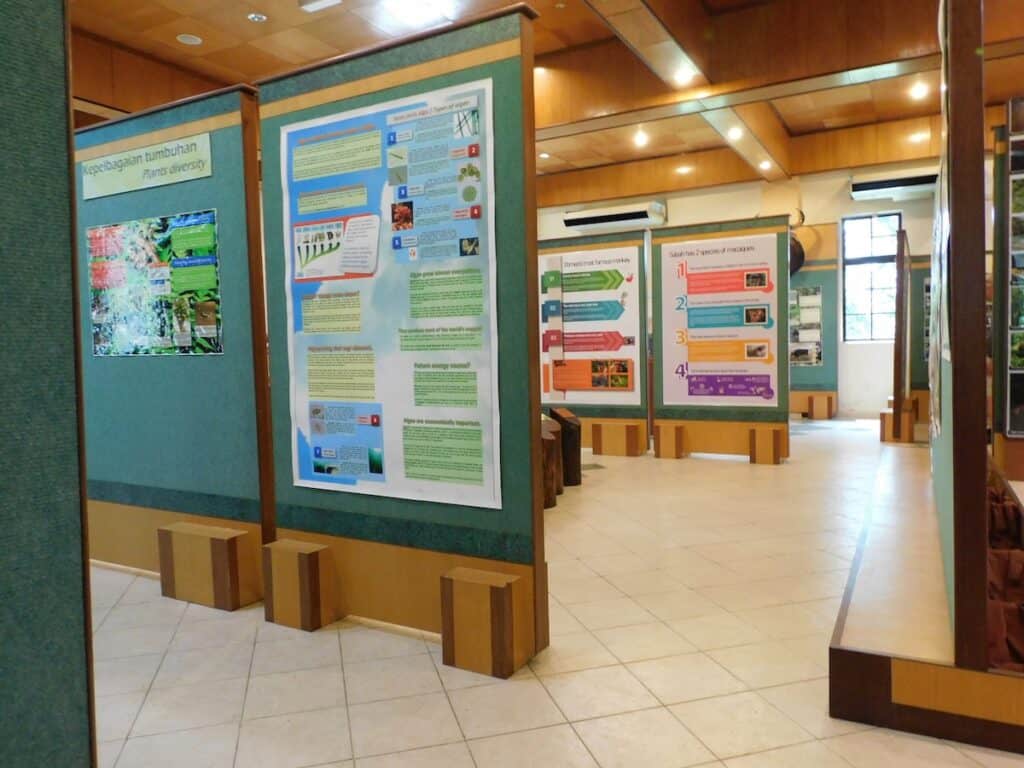 Conservation Exhibit hall at the Rainforest Discovery Center