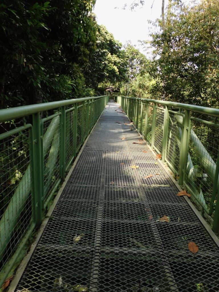 Canopy Walkway