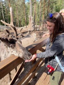 Feeding Reindeer at the Reindeer Park outside of Helsinki