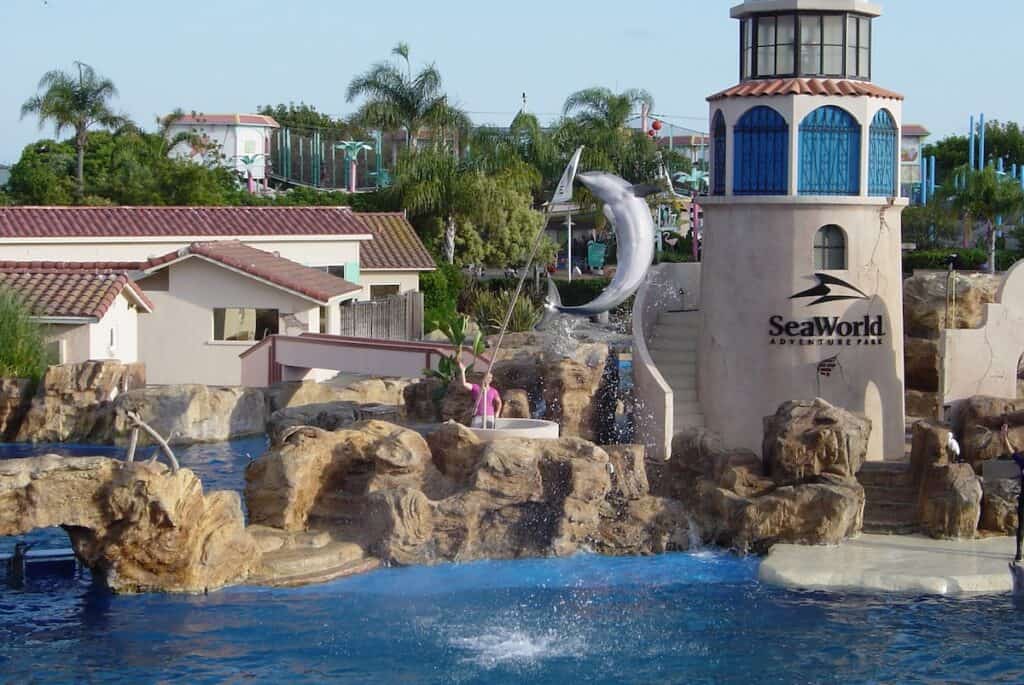 Dolphin Show at SeaWorld San Diego