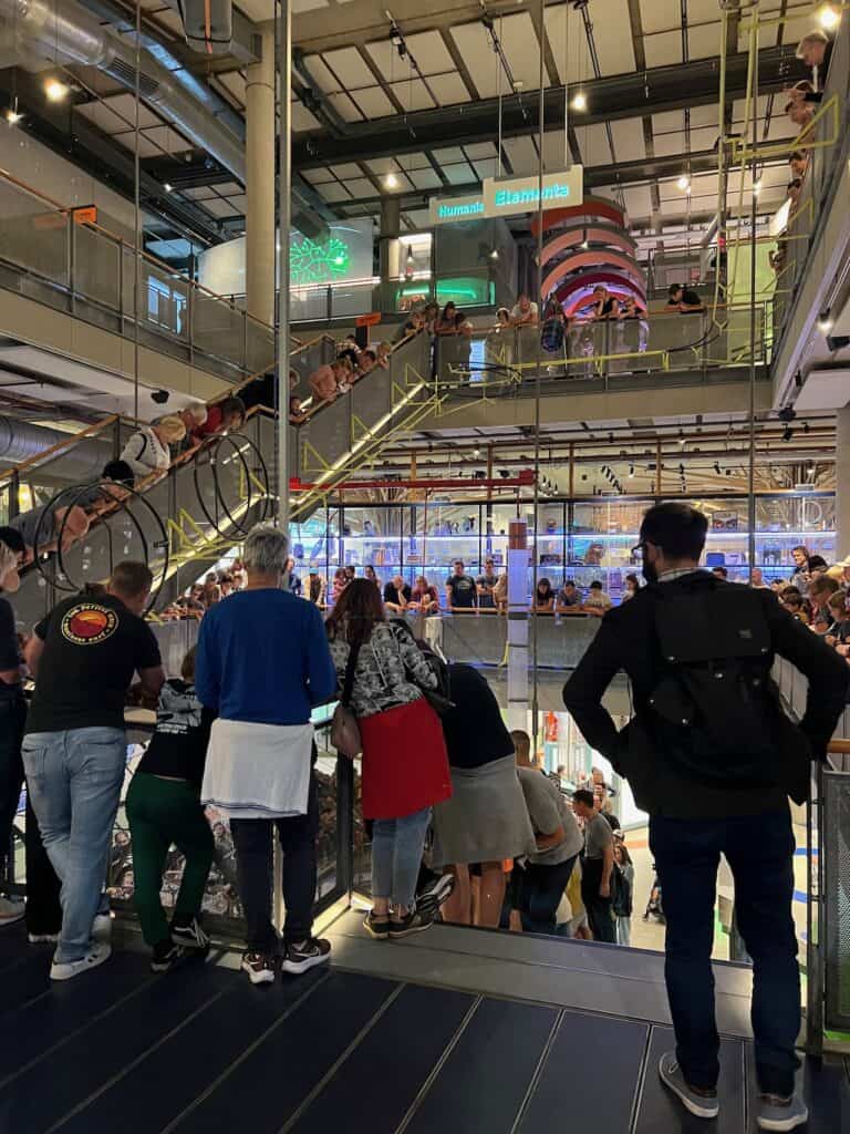 Visitors looking on at a Robot contest at NEMO