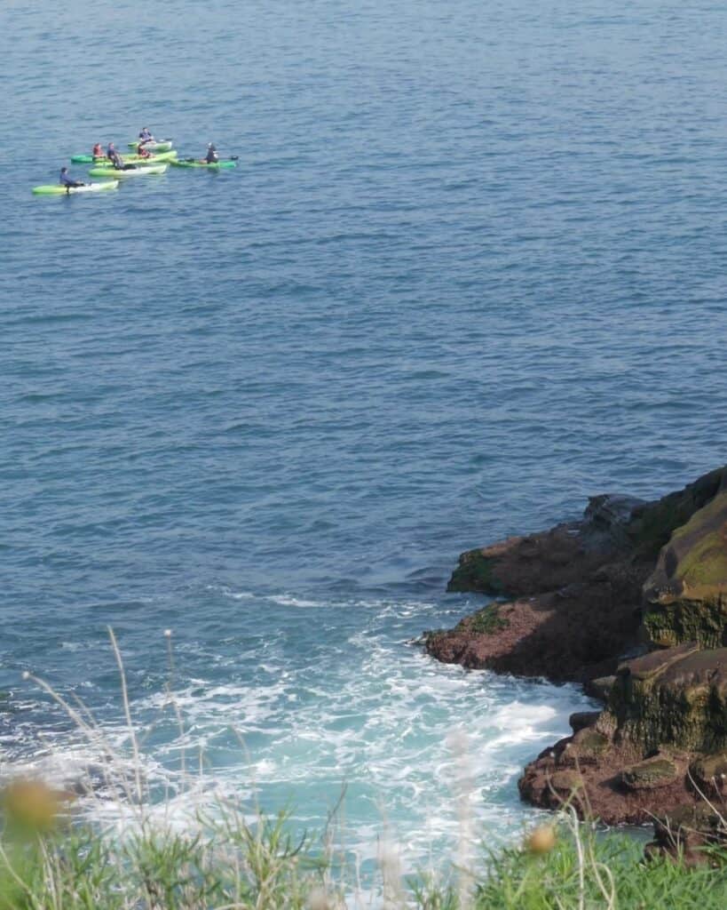 La Jolla, San Diego, CA USA . Group of people on kayaks in ocean, active tourists on canoe paddling and looking for seals. View from steep high cliff. Leisure during vacations and holidays