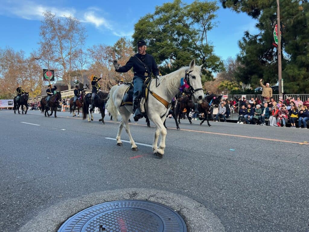 Horse group at the Rose Parade