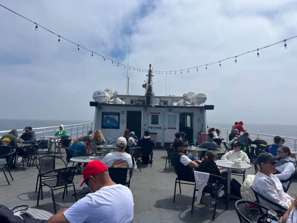 Sitting outside to view the wildlife on a whale watching cruise from San Diego