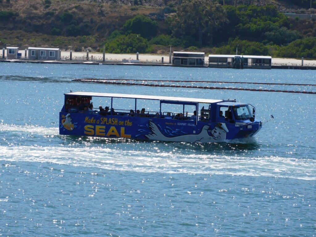 San Diego Seal tour in the water of San Diego Bay