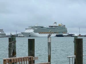 Pelican sitting on the dock pole with Royal Caribbean's Mariner of the Seas in the back ground
