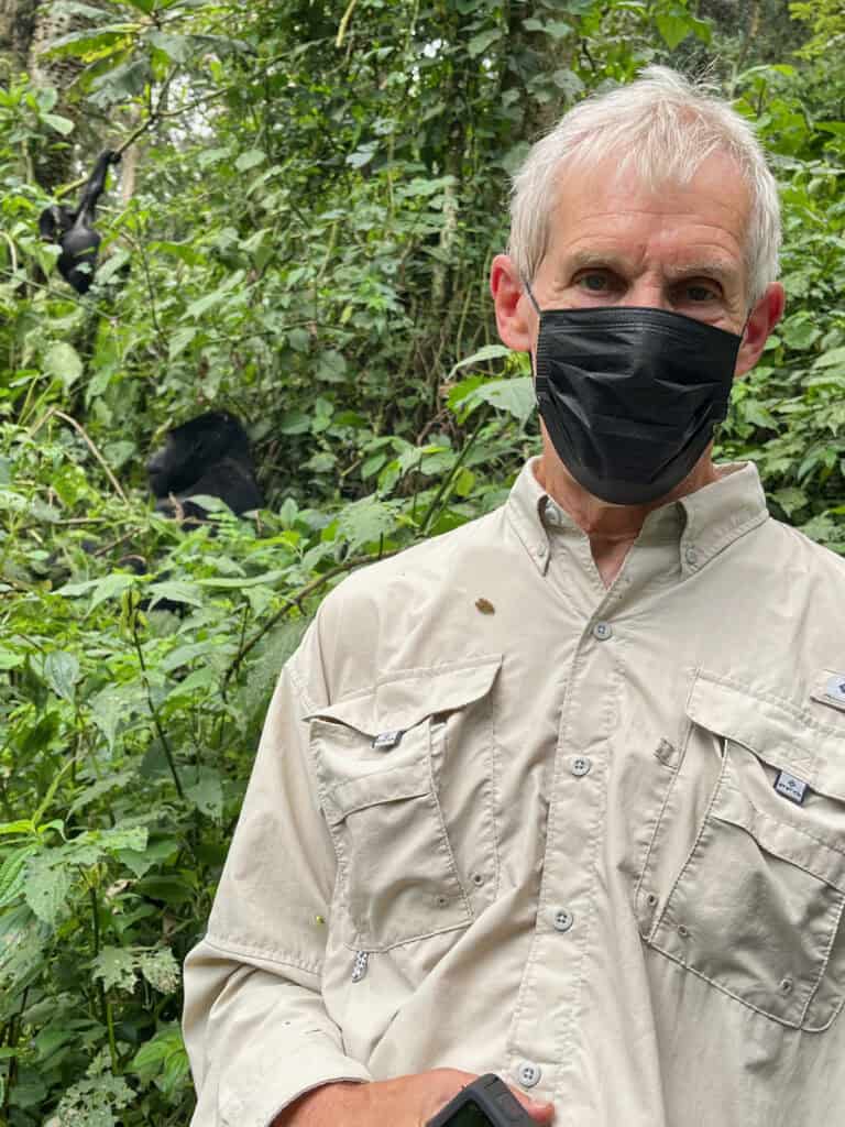 My husband with a young gorilla in the tree and a silverback on the ground behind him in Uganda's Bwindi Park