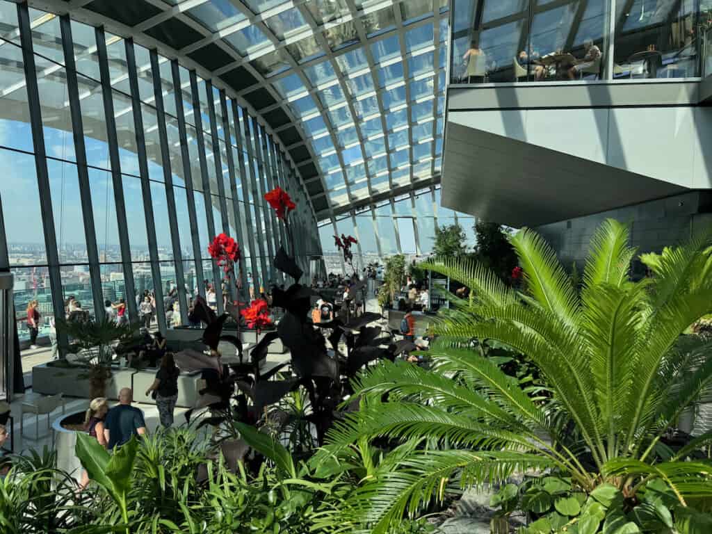 Flowers and Fern in the garden of the sky Garden of London