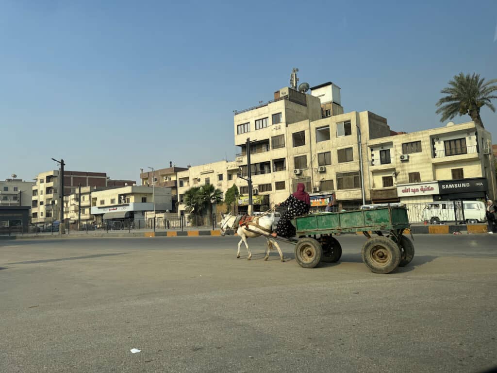 Horse and Wagon on the main streets of Cairo Egypt