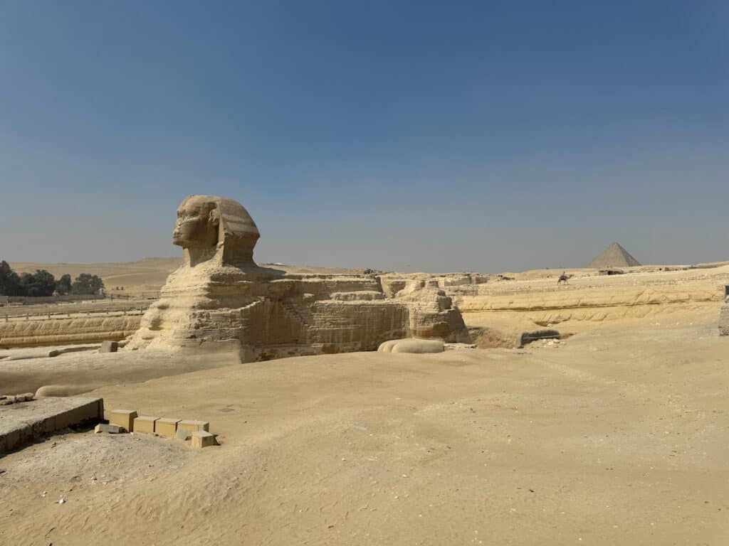 The Sphinx in Cairo Egypt with a camel and pyramid in the far background