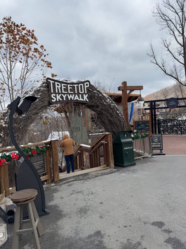 Entrance to Treetop skywalk at Anakeesta
