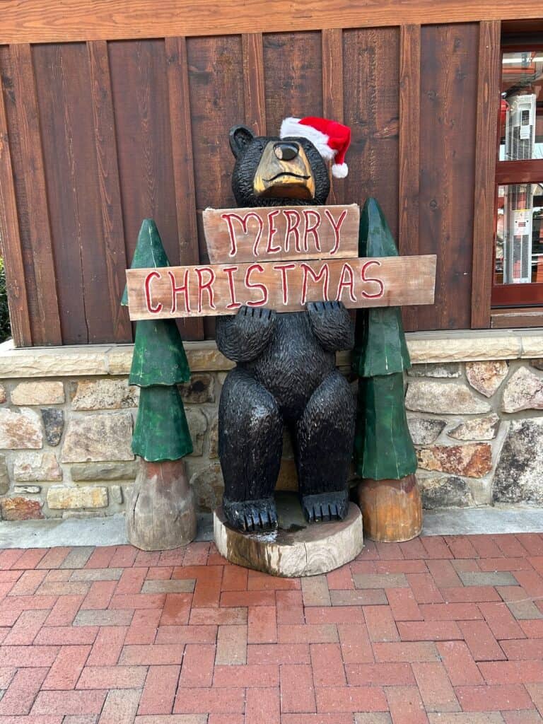 Merry Christmas Black Bear at Anakeesta