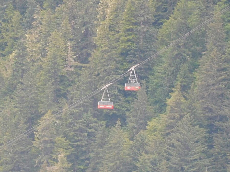 Mt Roberst tram crossing going up/down the mountain