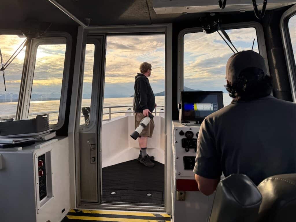 Looking for whales on the whale watching tour in Juneau