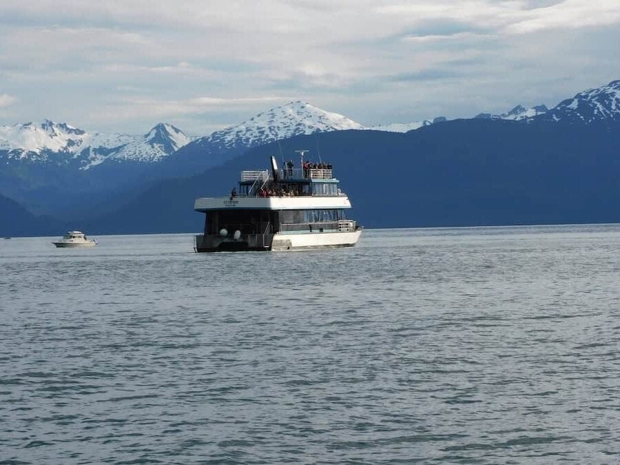 Whale watching tour boat in Juneau