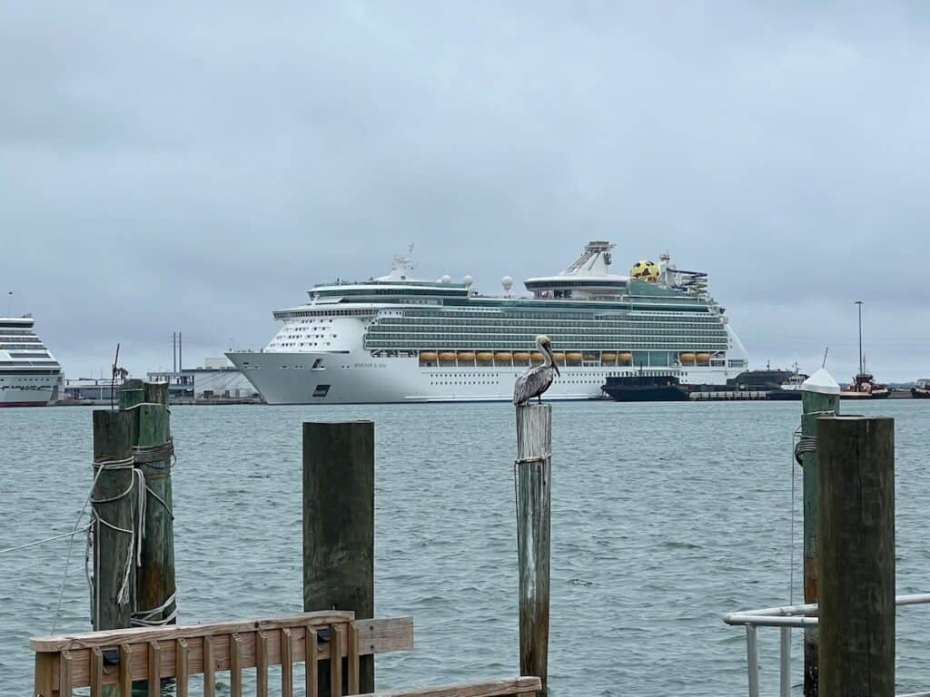 Pelican with Cruise ship in the background at Port Canaveral FL