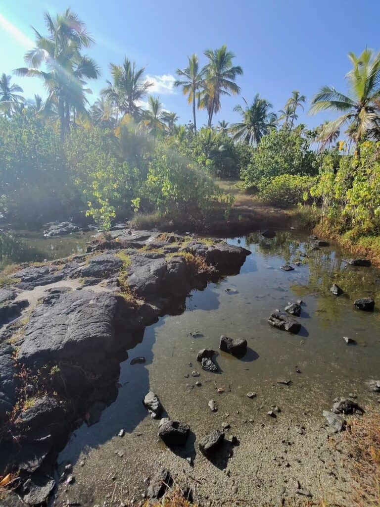 Gardens at Pu'uhonua O Hōnaunau National Historical Park on the Big Island