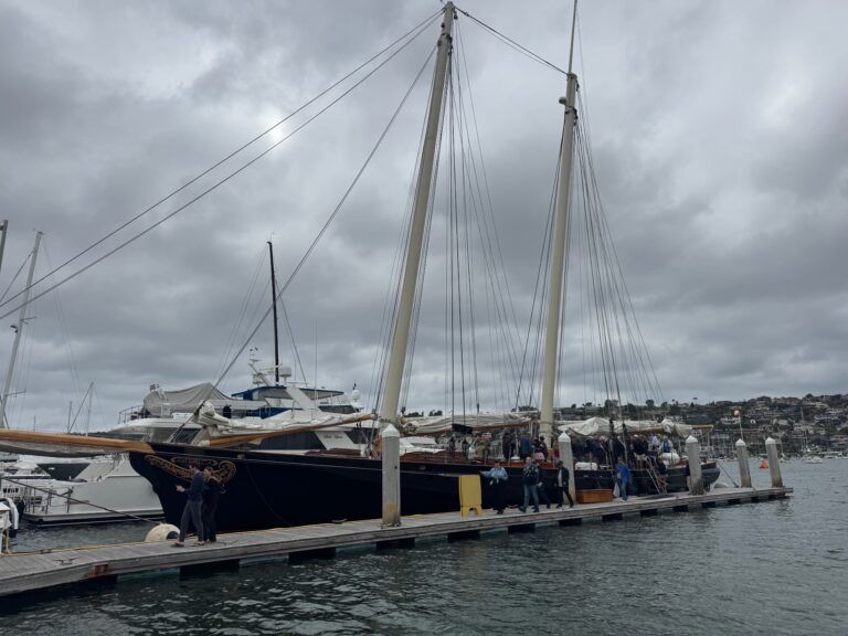 The Schooner we took with Next Level Sailing for a whale watching tour in San Diego