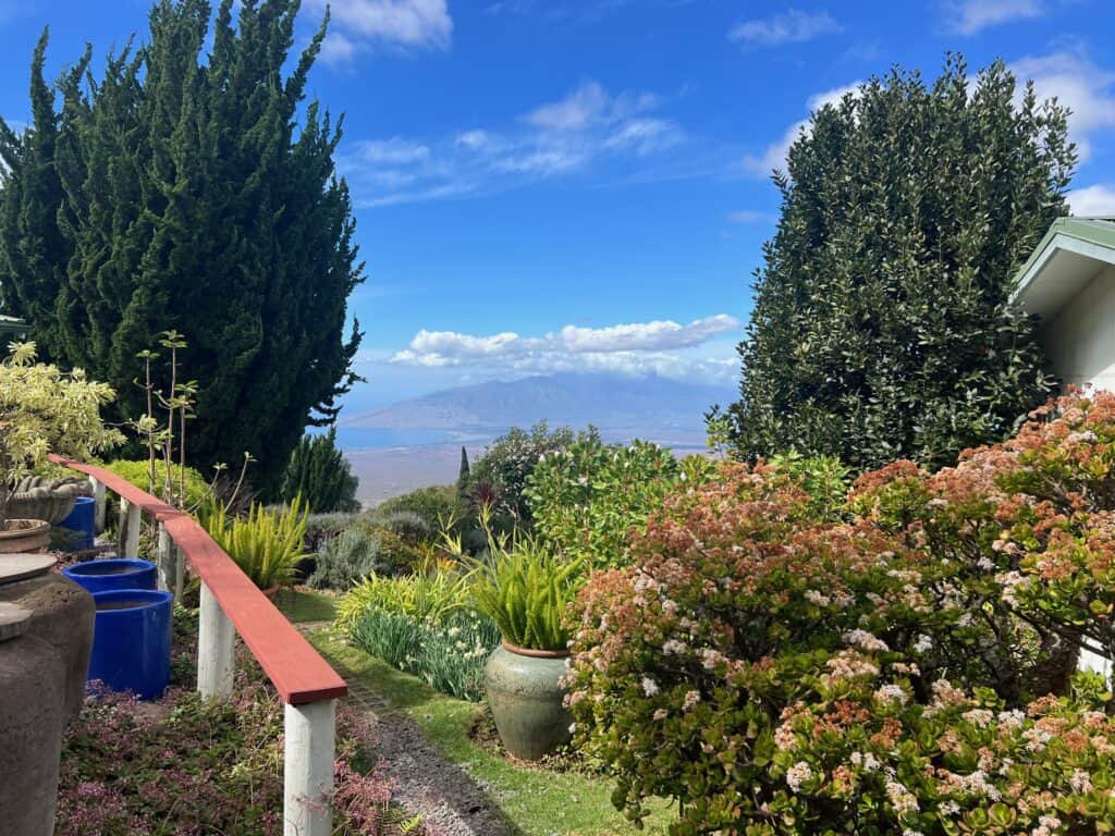 View of Maui from garden at Ali'i Kula Lavender Farm