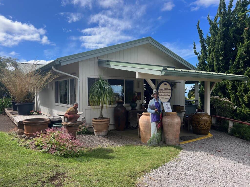 Gift Shop and snack bar at Ali'i Kula Lavender Farm