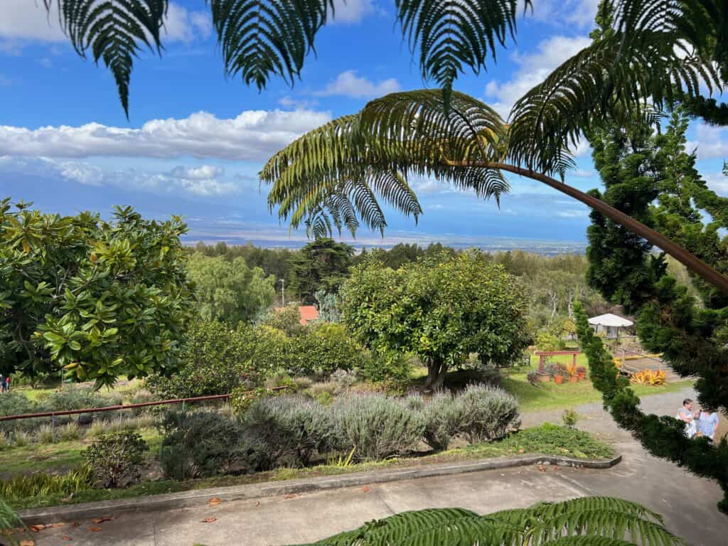 Gardens and walkway at Ali'i Kula Lavender Farm