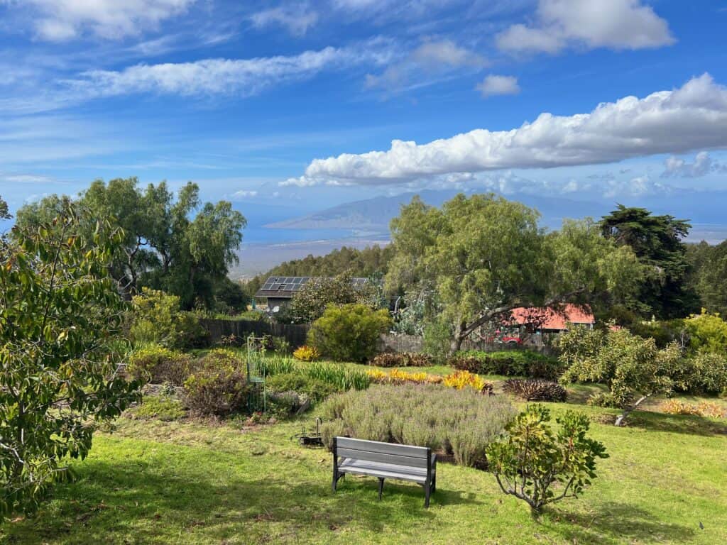 Garden overlooking Maui at Ali'i Kula Lavender Farm